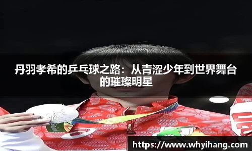 丹羽孝希的乒乓球之路：从青涩少年到世界舞台的璀璨明星